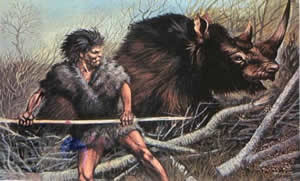 De Australopithecus Robustus